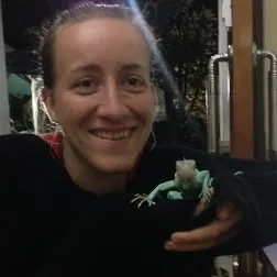 Catarina