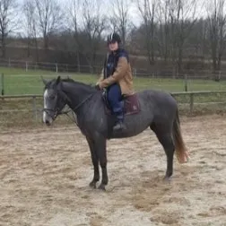 Sara